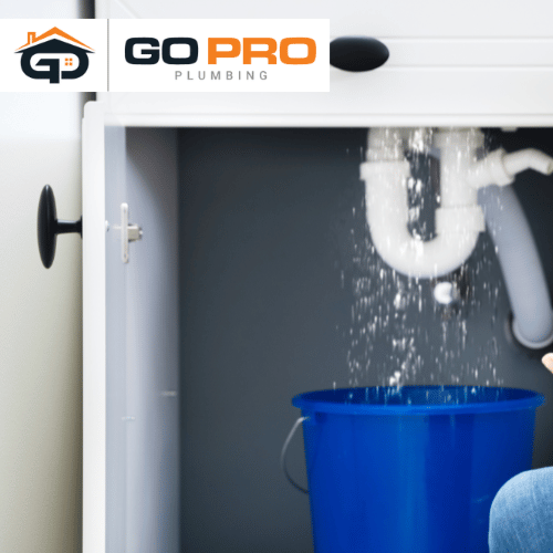 Plumber- Go Pro Plumbing Repair