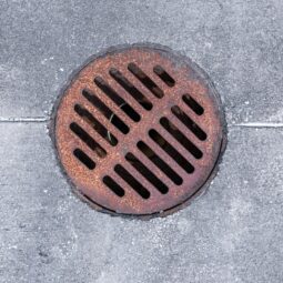 Drain the Dilemma: Mastering Toilet Drain Cleaning Image for Drain the Dilemma: Mastering Toilet Drain Cleaning post