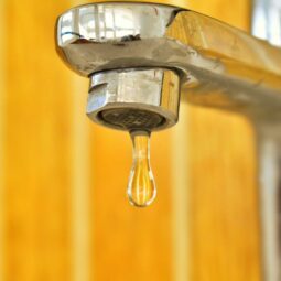 Tap Into Savings with These Domestic Water Conservation Hacks Image for Tap Into Savings with These Domestic Water Conservation Hacks post