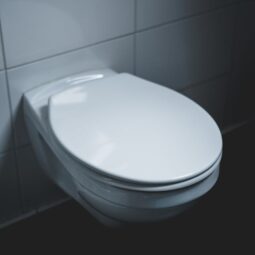 Toilet Flush Valve Replacement Cost Guide – Don’t Let Prices Drain Your Wallet! Image for Toilet Flush Valve Replacement Cost Guide – Don’t Let Prices Drain Your Wallet! post