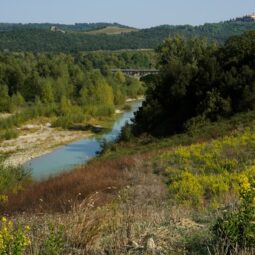 From Source to Tap: Understanding Water Resources and Conservation Image for From Source to Tap: Understanding Water Resources and Conservation post