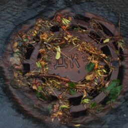 clogged main sewer line home plumbing backup