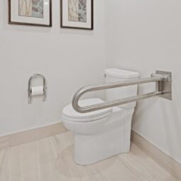 toilet handle
